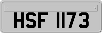 HSF1173