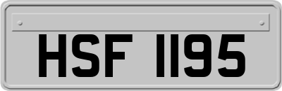 HSF1195