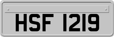 HSF1219