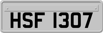 HSF1307