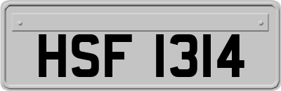 HSF1314