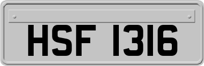 HSF1316