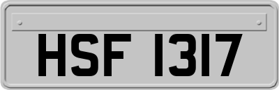 HSF1317