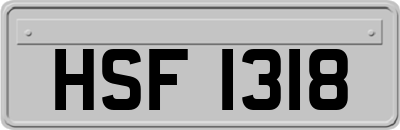 HSF1318