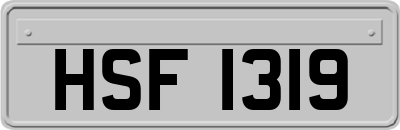 HSF1319