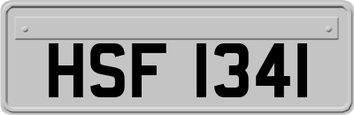 HSF1341