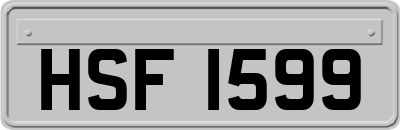 HSF1599