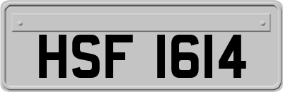 HSF1614