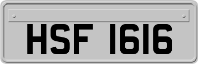 HSF1616