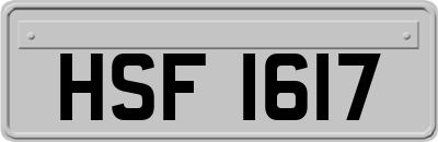 HSF1617