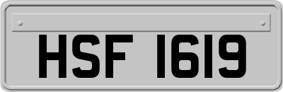 HSF1619