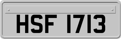 HSF1713