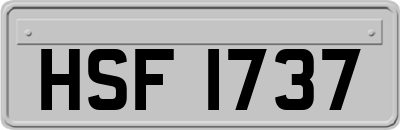 HSF1737