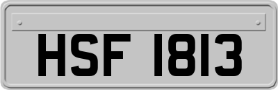 HSF1813