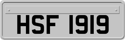 HSF1919