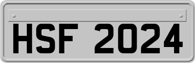 HSF2024