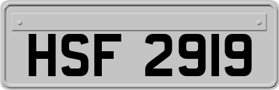 HSF2919