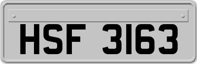 HSF3163