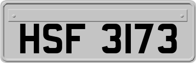 HSF3173