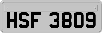 HSF3809