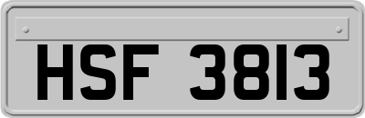 HSF3813
