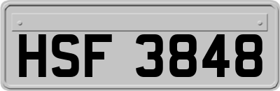 HSF3848