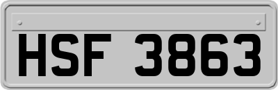 HSF3863