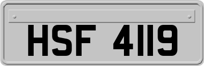 HSF4119