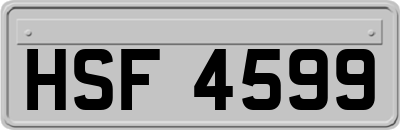 HSF4599