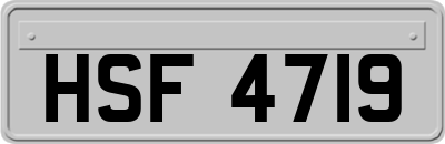 HSF4719