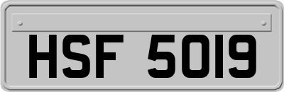 HSF5019
