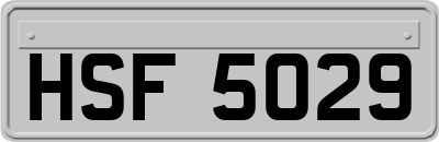 HSF5029