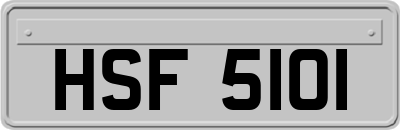 HSF5101