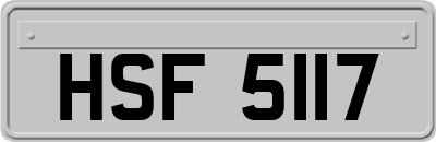 HSF5117