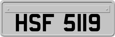 HSF5119
