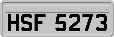 HSF5273