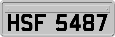HSF5487