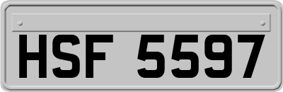 HSF5597