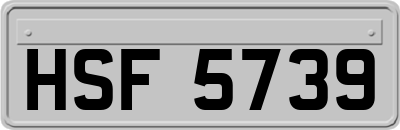 HSF5739
