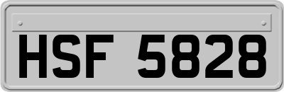 HSF5828