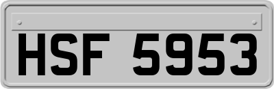 HSF5953