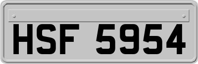 HSF5954