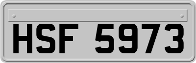 HSF5973
