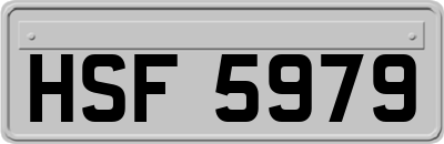 HSF5979