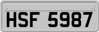 HSF5987