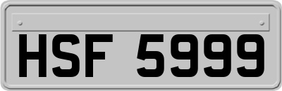 HSF5999