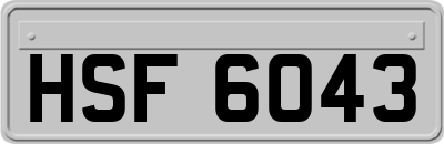 HSF6043