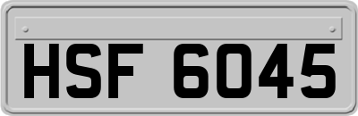 HSF6045