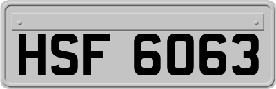 HSF6063