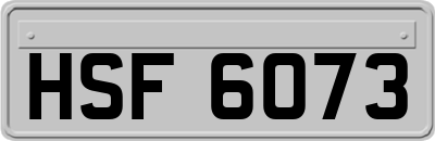 HSF6073